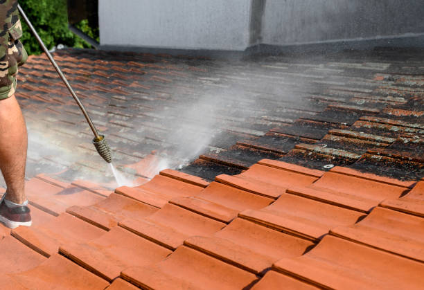 Best Pressure Washing Services for Businesses  in Talpa, NM